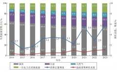 2024年中国能源供需形势研判